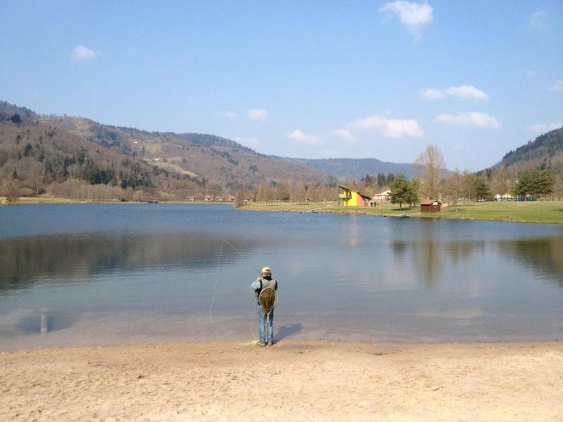 Chalet De Grettery Saulxures-sur-Moselotte Luaran gambar