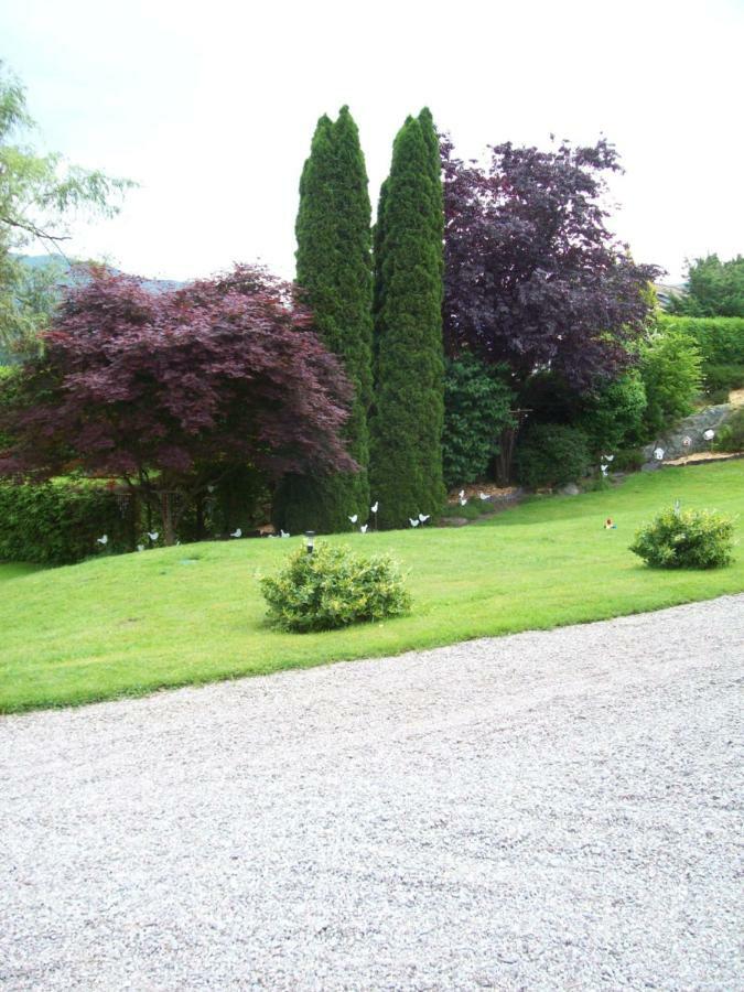 Chalet De Grettery Saulxures-sur-Moselotte Luaran gambar